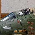 phntm660