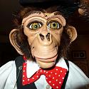 gordiedavidson
