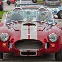 Cobra1365
