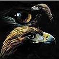 twoeagles46