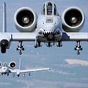 olwarbirds