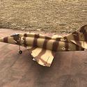 T- Elbert