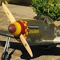 dh71tiger