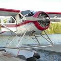 Beaver