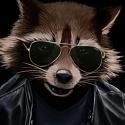 Joncoynie