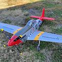 Tiger01