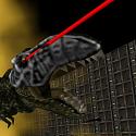 phalanx