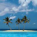 PatrickVn