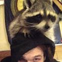 RacoonRC