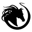 Lighthorse