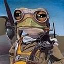 AeroFrog