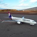 FlyinHawaiian