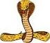 the snake