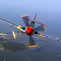 JimFlyGuy