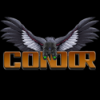 Condor060