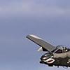 jinkrat4791
