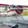 Beaver