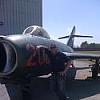 ddhale190
