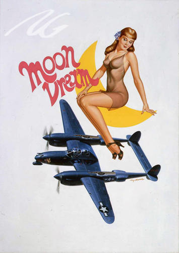 Click image for larger version

Name:	Moon Dream - P38 Night Fighter.jpg
Views:	491
Size:	52.0 KB
ID:	31646