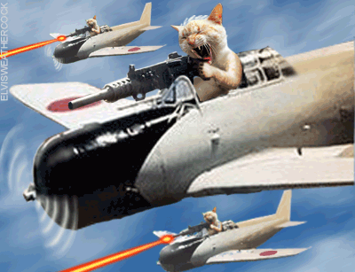 Click image for larger version

Name:	kamikaze-cat6.gif
Views:	176
Size:	456.7 KB
ID:	61481