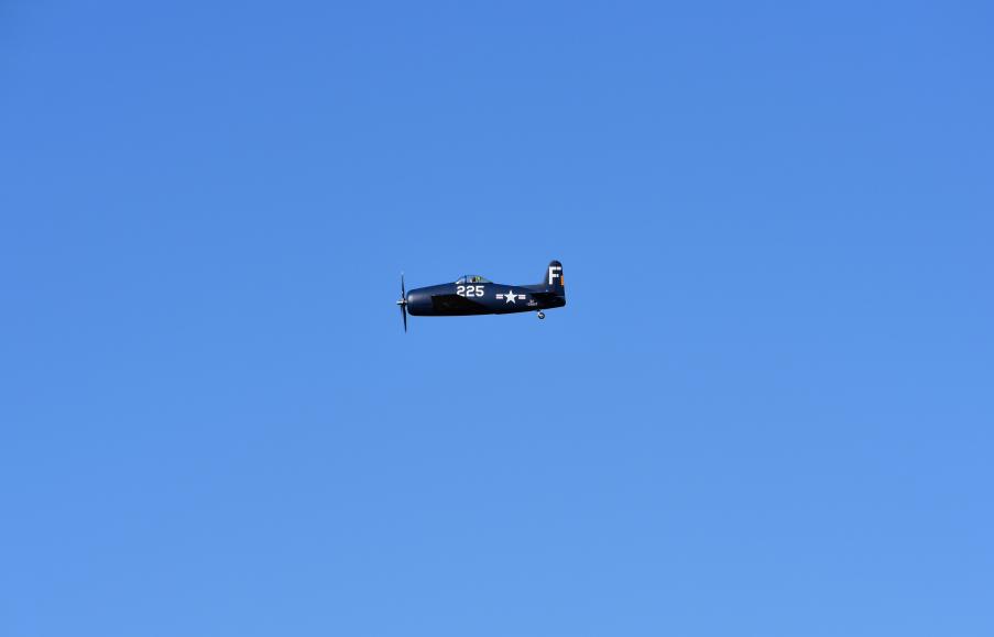 Click image for larger version

Name:	DSC_0796.JPG
Views:	626
Size:	11.2 KB
ID:	62166