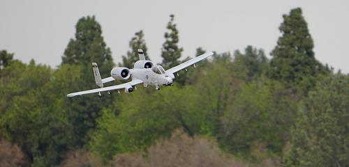 Click image for larger version

Name:	DSC08575.JPG
Views:	598
Size:	64.4 KB
ID:	65103