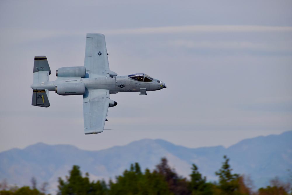 Click image for larger version

Name:	DSC_0235.jpg
Views:	866
Size:	479.2 KB
ID:	65284