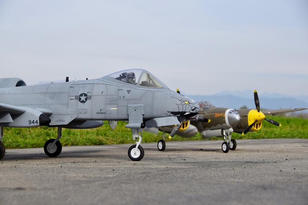 Click image for larger version

Name:	DSC_0279.jpg
Views:	881
Size:	571.7 KB
ID:	65285