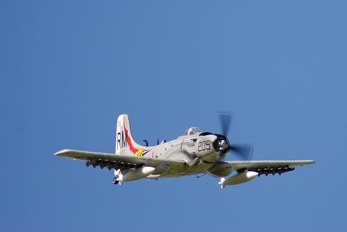Click image for larger version

Name:	DSC_0223.jpg
Views:	353
Size:	820.6 KB
ID:	36077