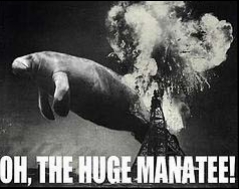 Click image for larger version

Name:	
Views:	0
Size:	35.8 KB
ID:	74395