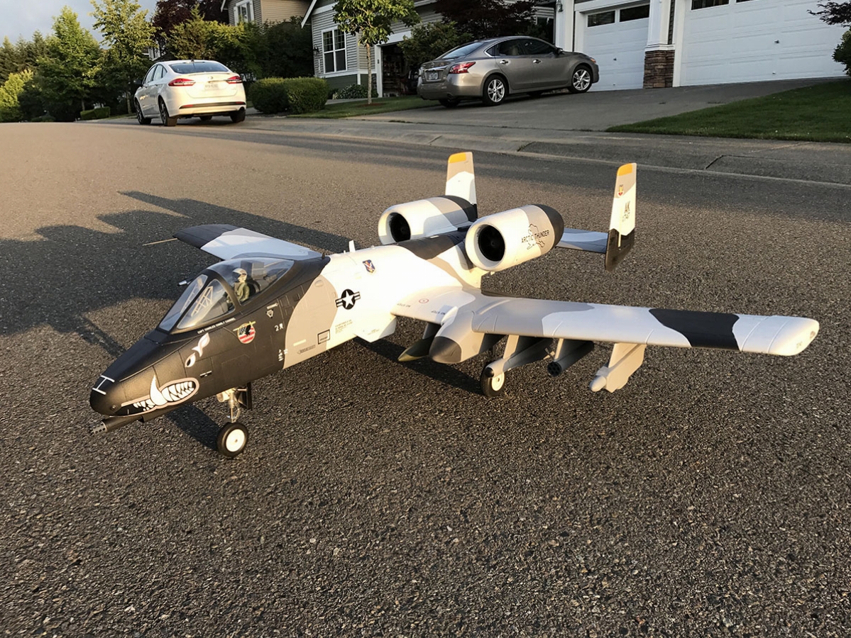 Click image for larger version

Name:	calliefied4.jpg
Views:	359
Size:	1.04 MB
ID:	83216