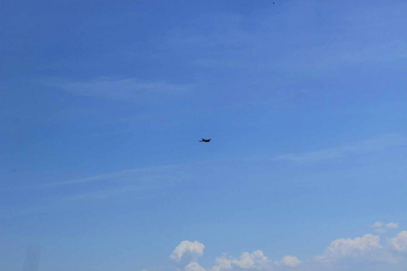 Click image for larger version

Name:	IMG_0171.JPG
Views:	129
Size:	34.6 KB
ID:	85447
