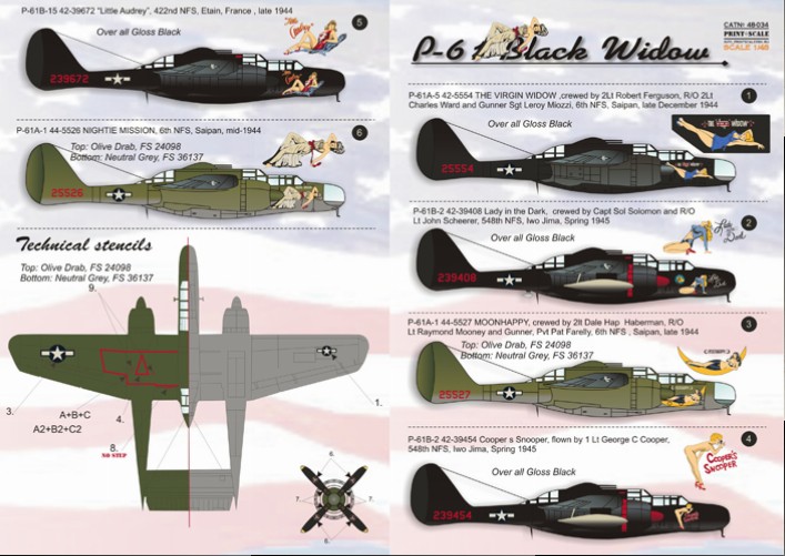 Click image for larger version  Name:	P-61 pinups .jpg Views:	1 Size:	98.9 KB ID:	91997