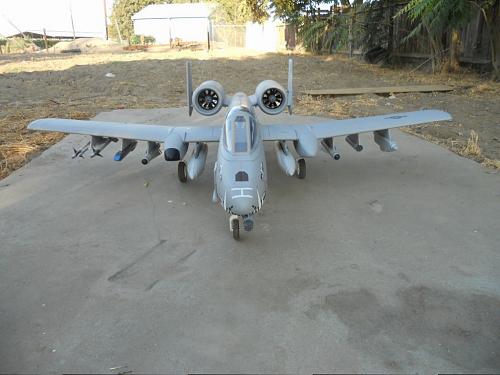 Click image for larger version

Name:	DSCN1265[1].JPG
Views:	558
Size:	154.0 KB
ID:	92346