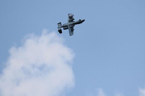 Click image for larger version  Name:	Warbirds-014.jpg Views:	1 Size:	37.6 KB ID:	93129