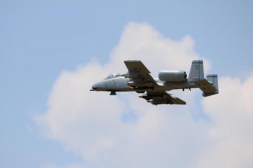 Click image for larger version  Name:	Warbirds-018.jpg Views:	1 Size:	38.7 KB ID:	93130