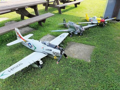 Click image for larger version  Name:	091217fly1.jpg Views:	1 Size:	372.9 KB ID:	96780