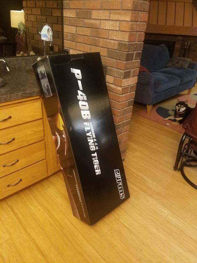 Click image for larger version

Name:	P40B.jpg
Views:	359
Size:	81.0 KB
ID:	109375