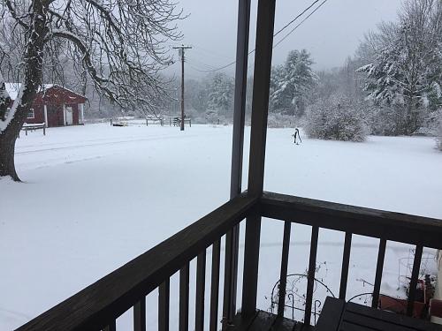 Click image for larger version

Name:	IMG_0771.JPG
Views:	417
Size:	151.6 KB
ID:	119412