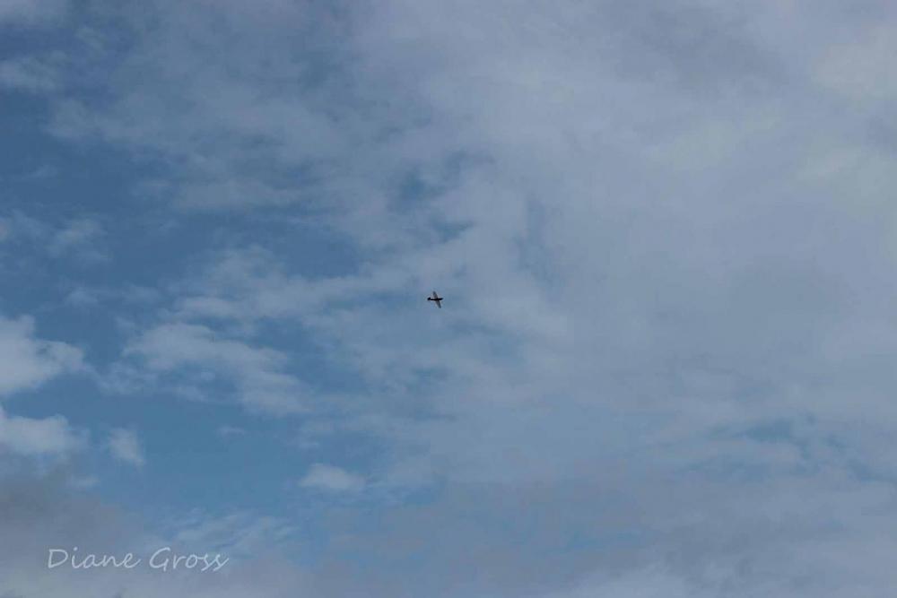 Click image for larger version

Name:	IMG_2388.JPG
Views:	447
Size:	42.3 KB
ID:	139047