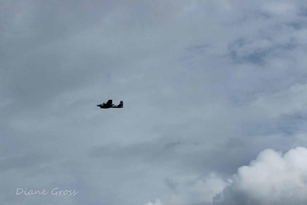 Click image for larger version

Name:	IMG_2400.JPG
Views:	455
Size:	37.5 KB
ID:	139060