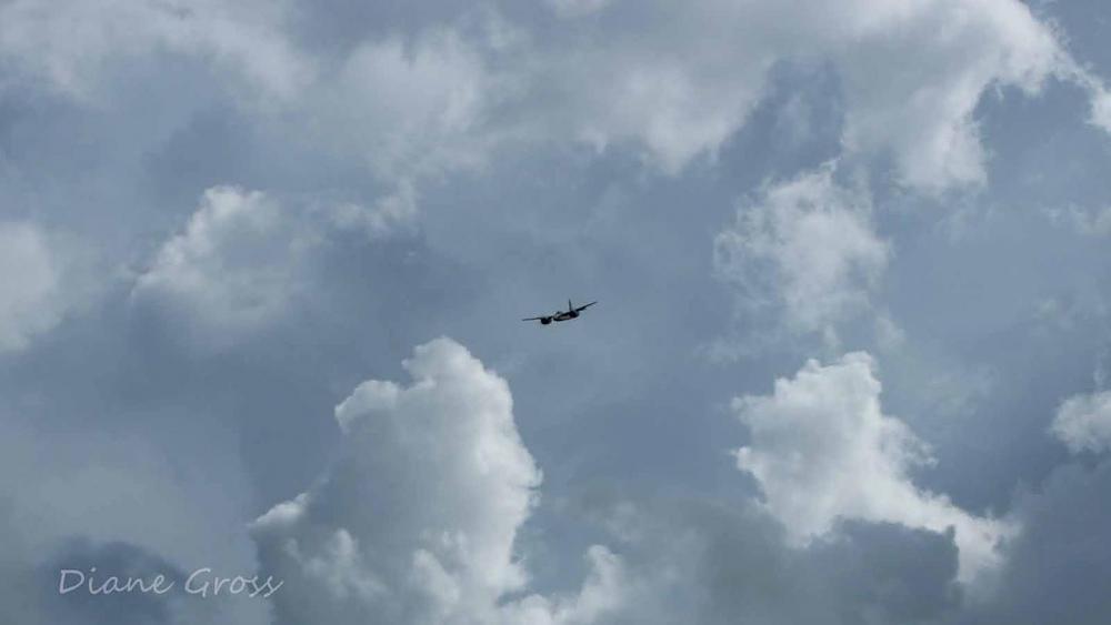 Click image for larger version

Name:	IMG_2404 (2).JPG
Views:	358
Size:	48.7 KB
ID:	139064