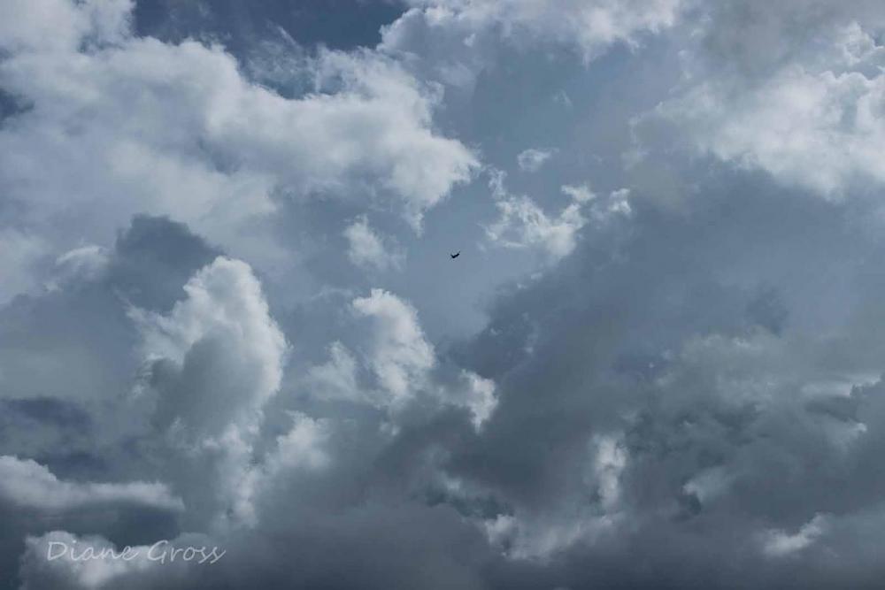 Click image for larger version

Name:	IMG_2413.JPG
Views:	360
Size:	61.6 KB
ID:	139076