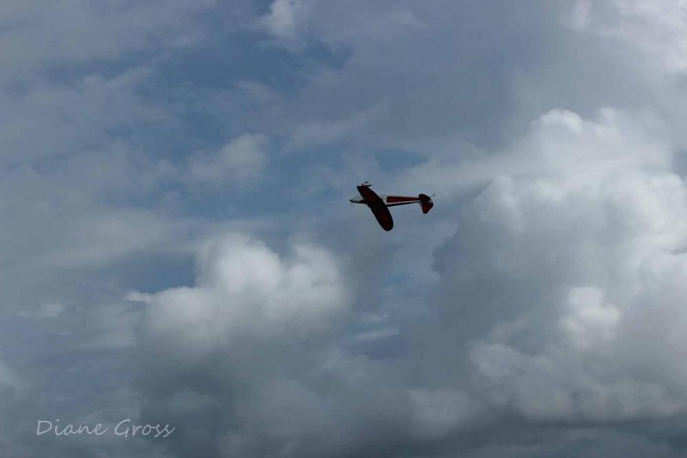 Click image for larger version

Name:	IMG_2415.JPG
Views:	331
Size:	46.5 KB
ID:	139078