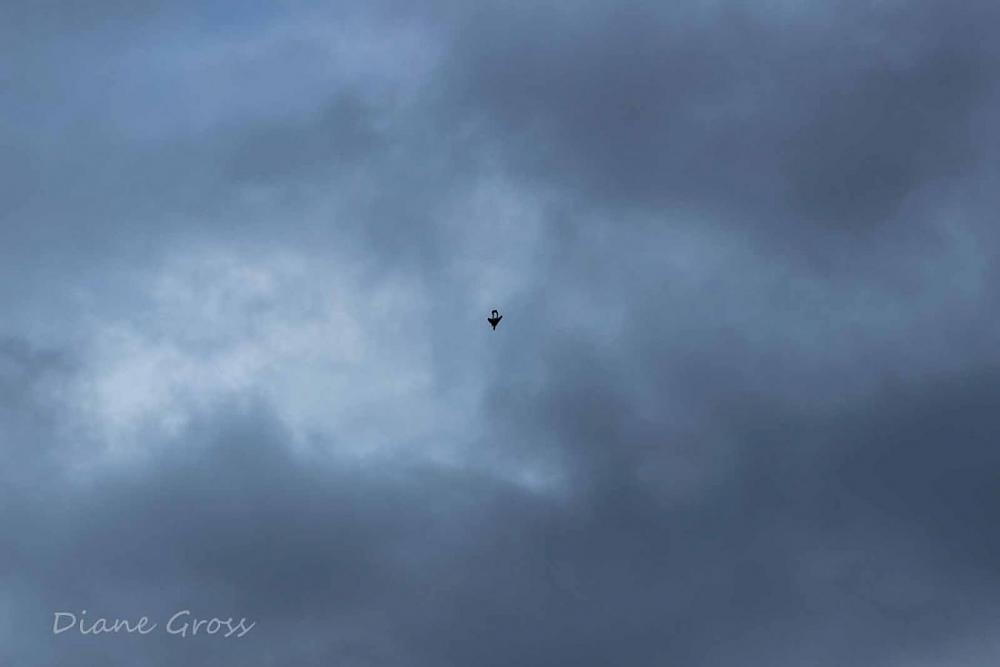 Click image for larger version

Name:	IMG_2477.JPG
Views:	290
Size:	38.0 KB
ID:	139147