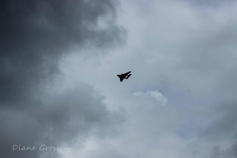 Click image for larger version

Name:	IMG_2478.JPG
Views:	305
Size:	40.1 KB
ID:	139148