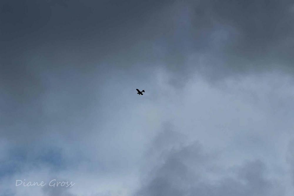 Click image for larger version

Name:	IMG_2480.JPG
Views:	330
Size:	36.0 KB
ID:	139150