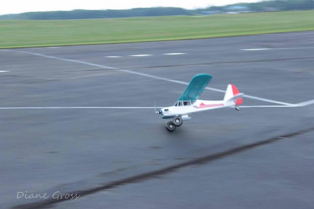 Click image for larger version

Name:	IMG_2484.JPG
Views:	329
Size:	64.9 KB
ID:	139154