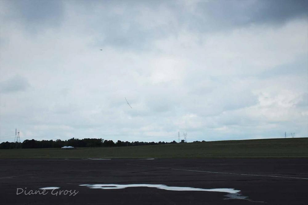 Click image for larger version

Name:	IMG_2494.JPG
Views:	311
Size:	54.4 KB
ID:	139167