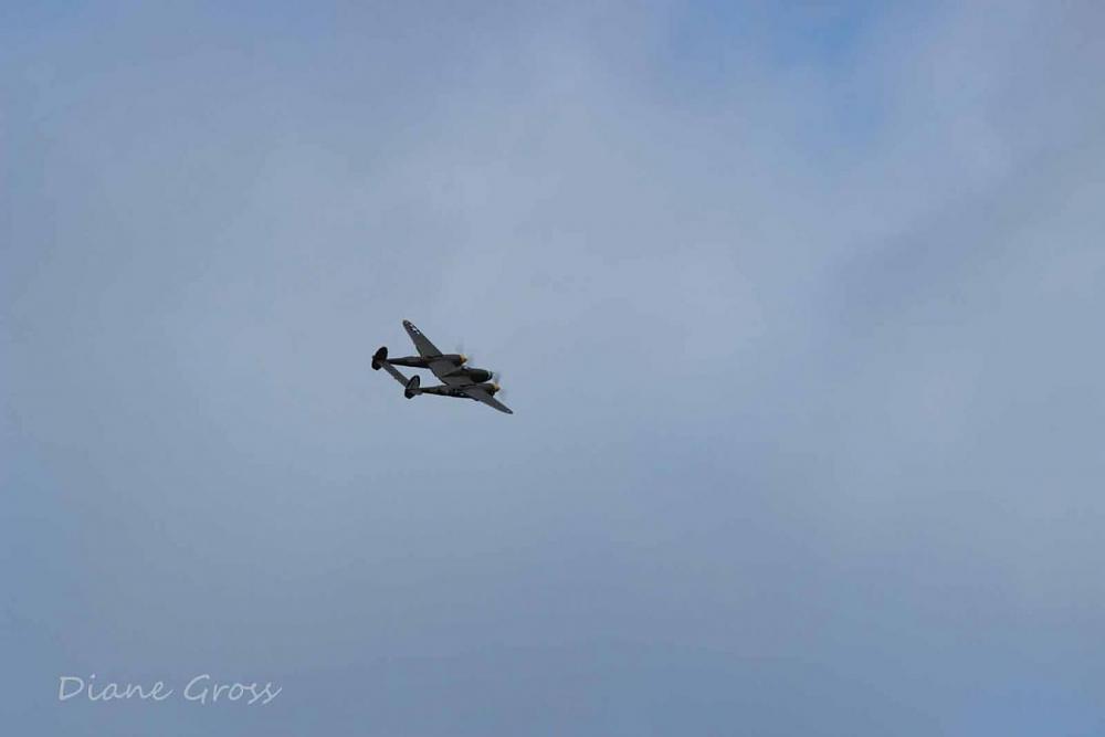 Click image for larger version

Name:	IMG_2568.JPG
Views:	300
Size:	29.8 KB
ID:	139250